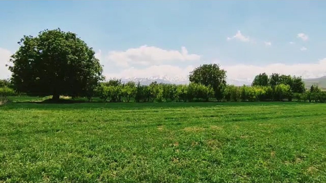 فیلمی از طبیعت باغ‌های روستای تکه