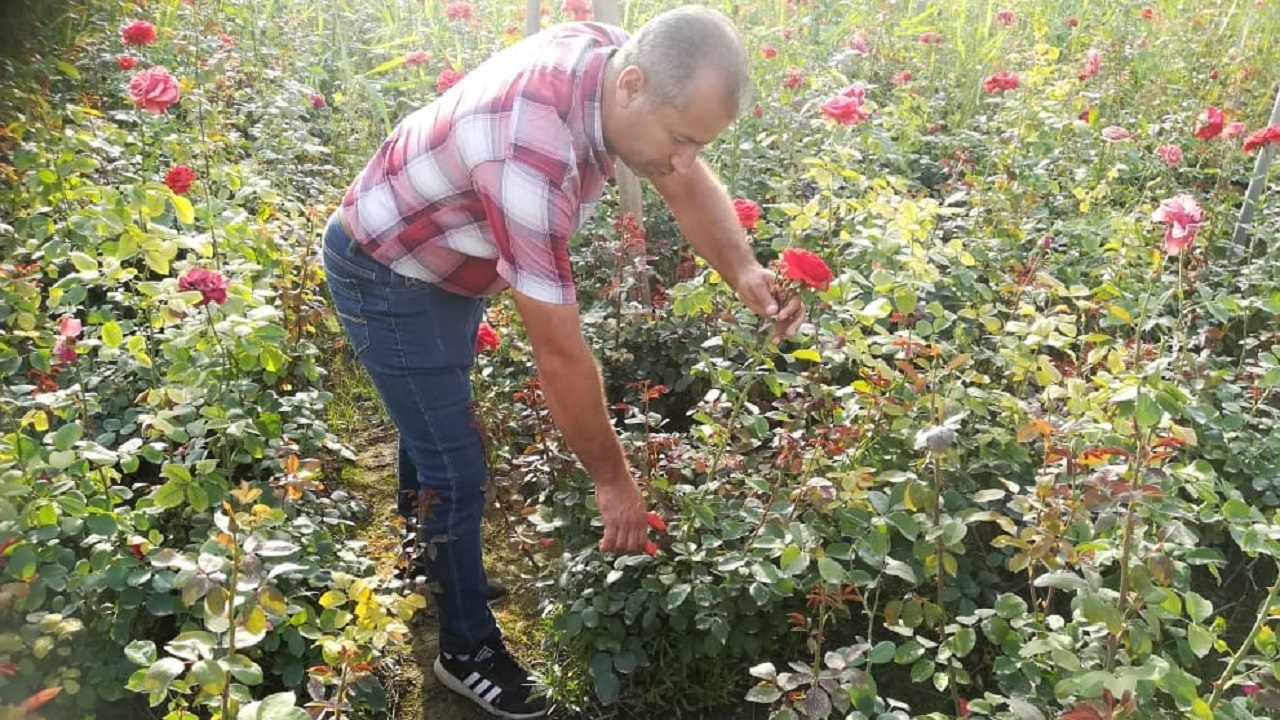 گلایه گل کار خوزستانی از نبود اتحادیه و پایانه گل در استان