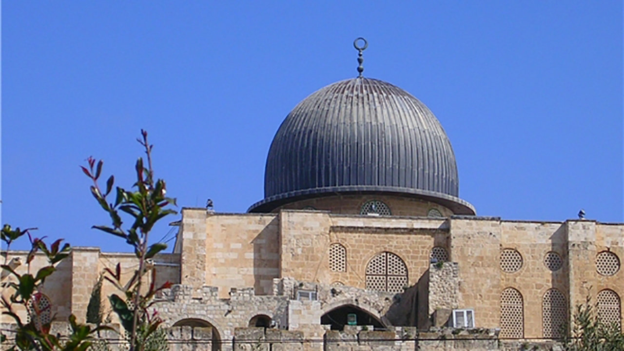 دلتنگی مسافران فلسطینی داخل هواپیما برای قدس + فیلم