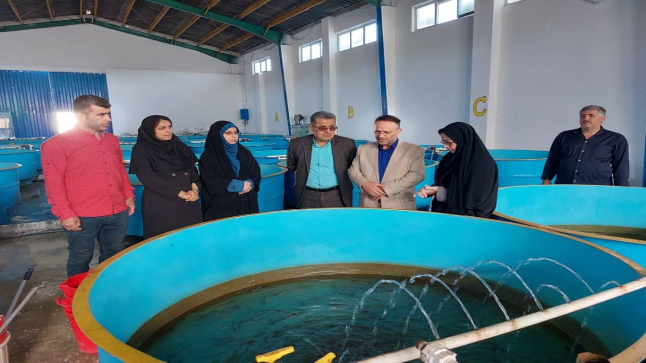 رشد مطلوب بچه ماهیان سفید در مرکز شهید رجایی