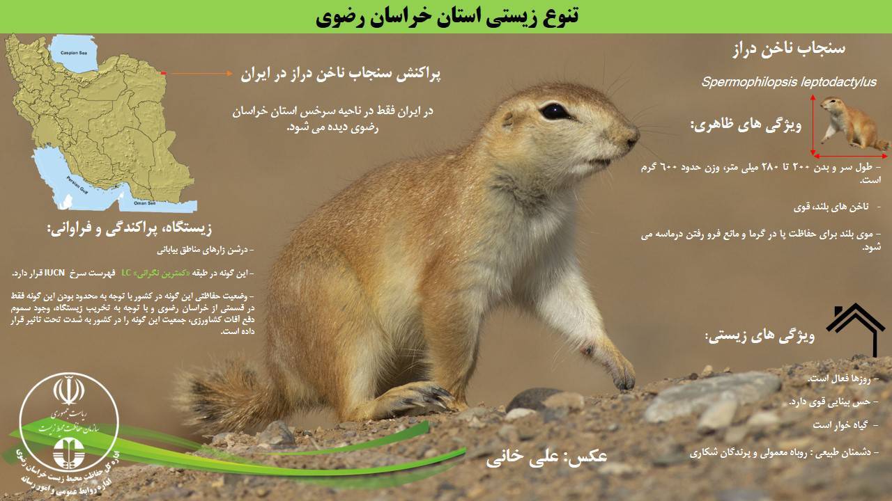بروشور تنوع زیستی خراسان رضوی