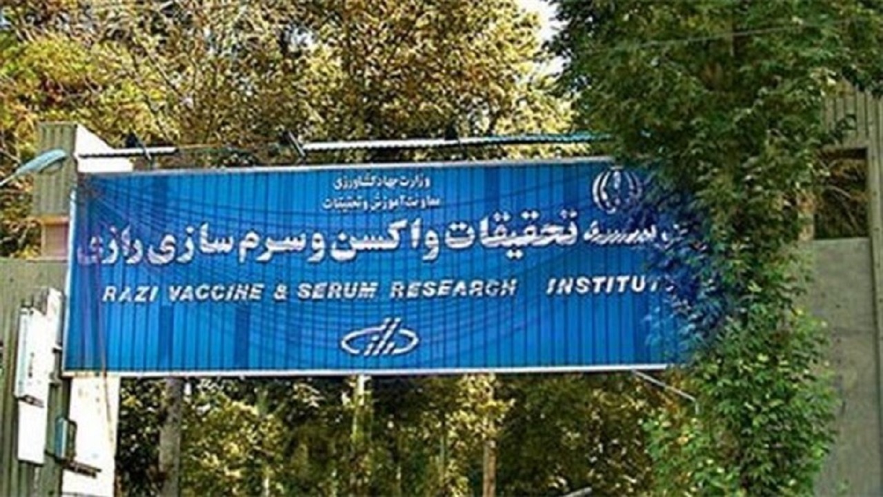 واکسن سیاه سرفه به مدار تولید بازمی گردد