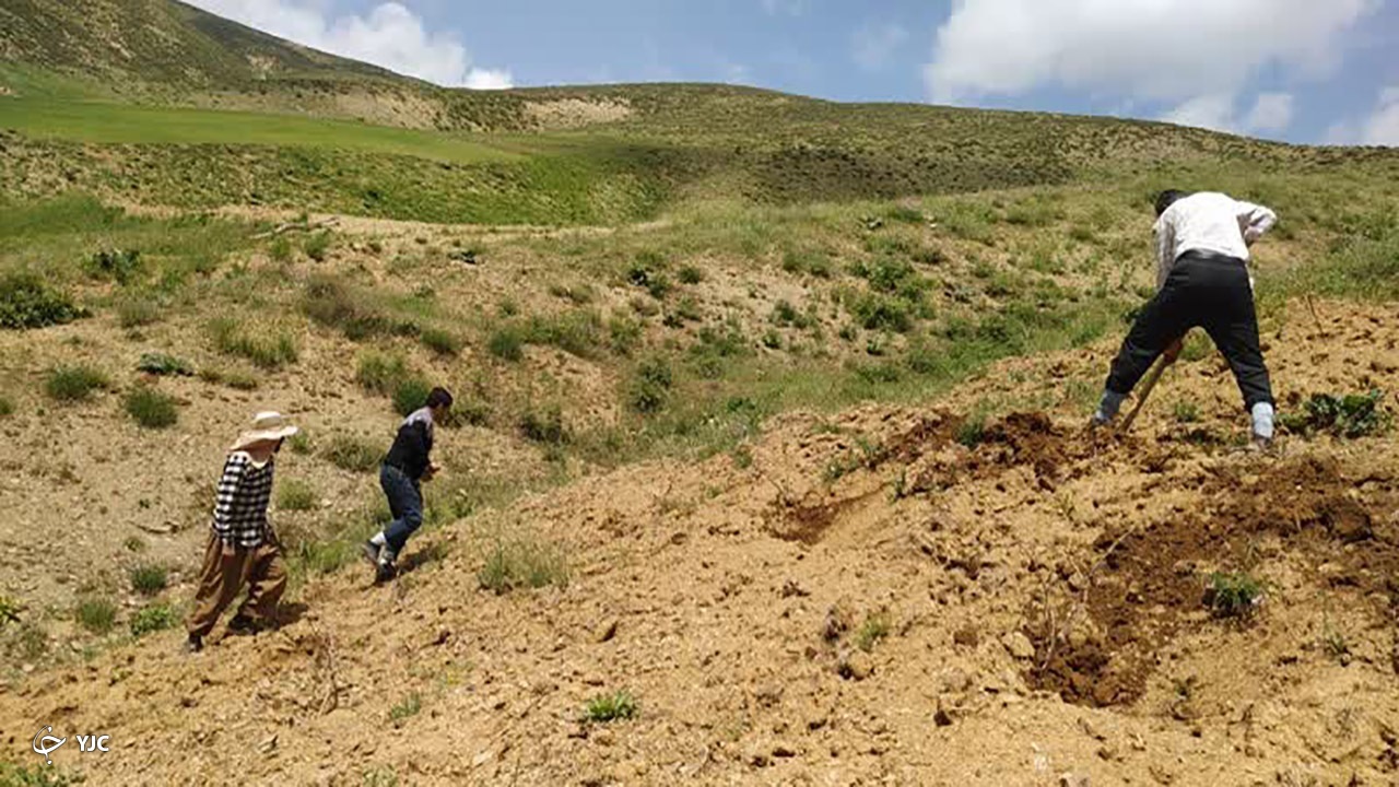 ۳ هکتار از اراضی ملی مهاباد باز پس گرفته شد