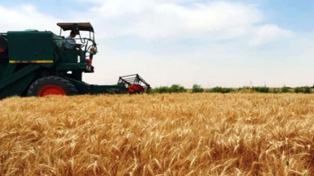 تخصیص ۵۴ میلیارد تومان اعتبار برای طرح‌های حوزه کشاورزی