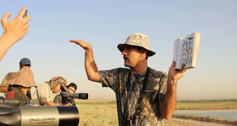 تور پرنده نگری