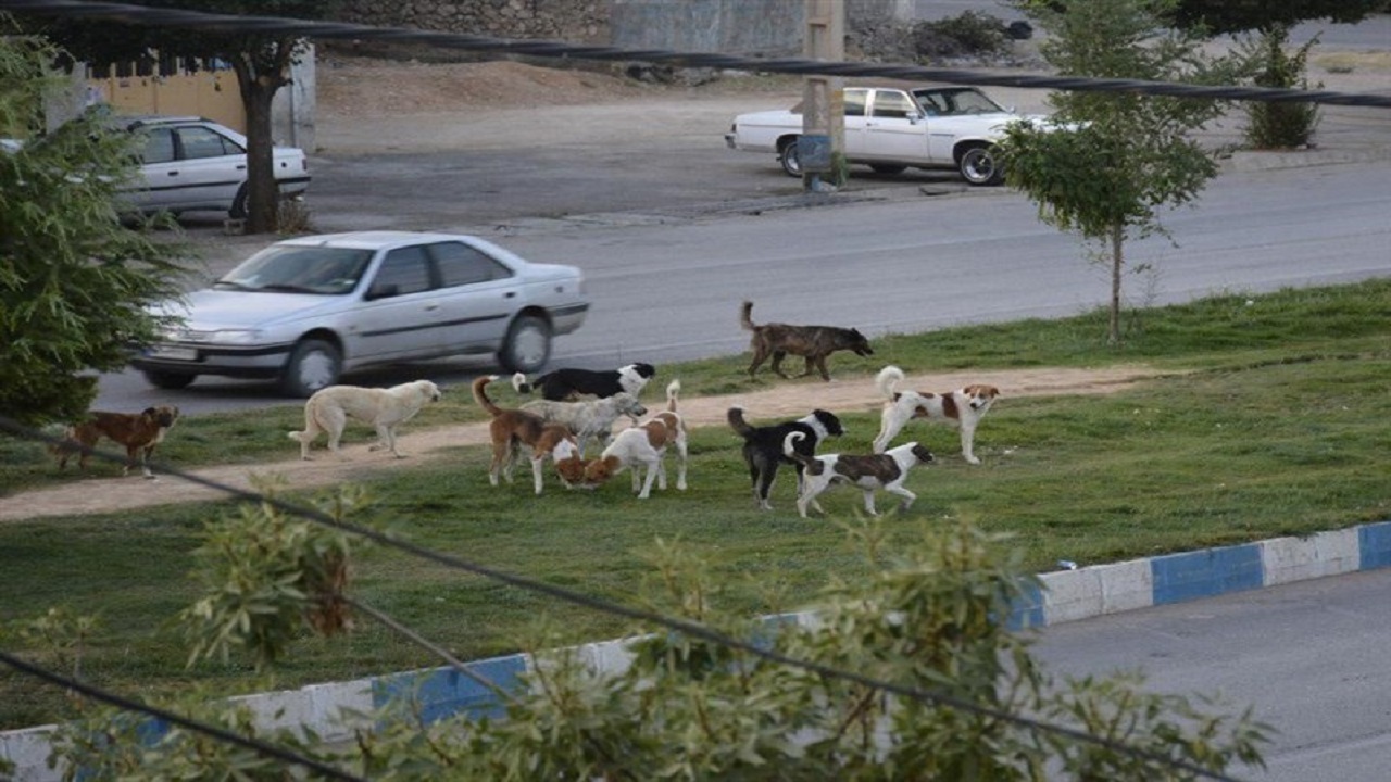 از