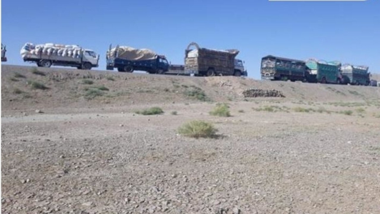 پنجاه موتر باربری حامل گندم قاچاق توقیف شد