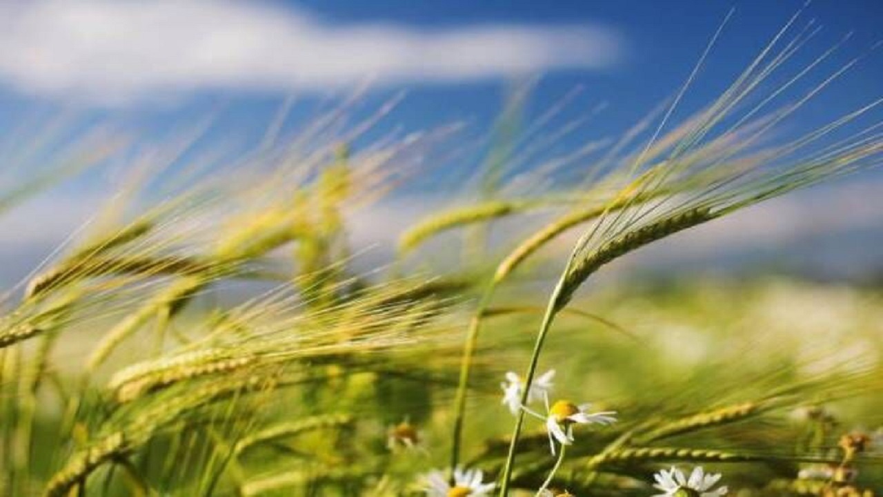 وزش تندباد و افزایش دما آذربایجان غربی را فرا می‌گیرد