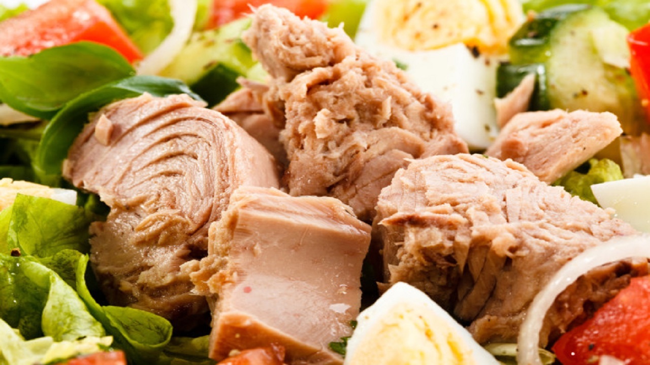 هزینه خرید تن ماهی چقدر است؟