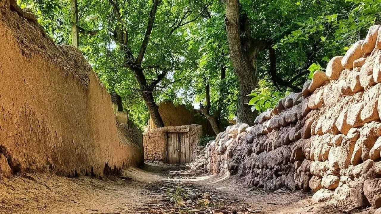 نمایی از کوچه باغ های روستای لیوارجان + تصاویر