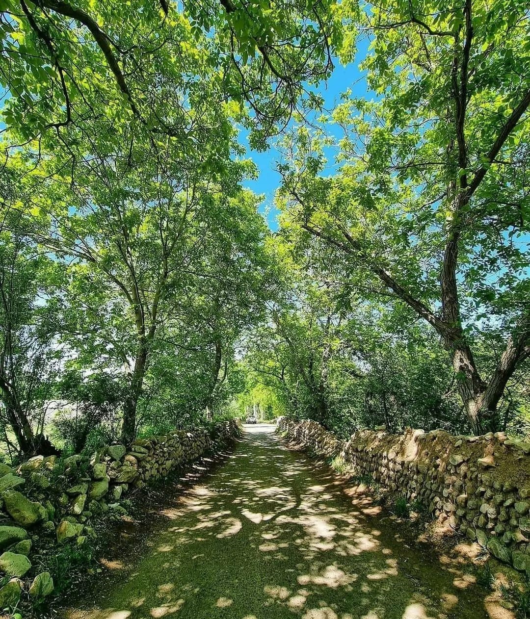 نمایی از کوچه باغ های روستای لیوارجان + تصاویر