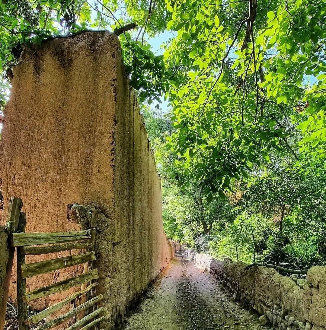 نمایی از کوچه باغ های روستای لیوارجان + تصاویر