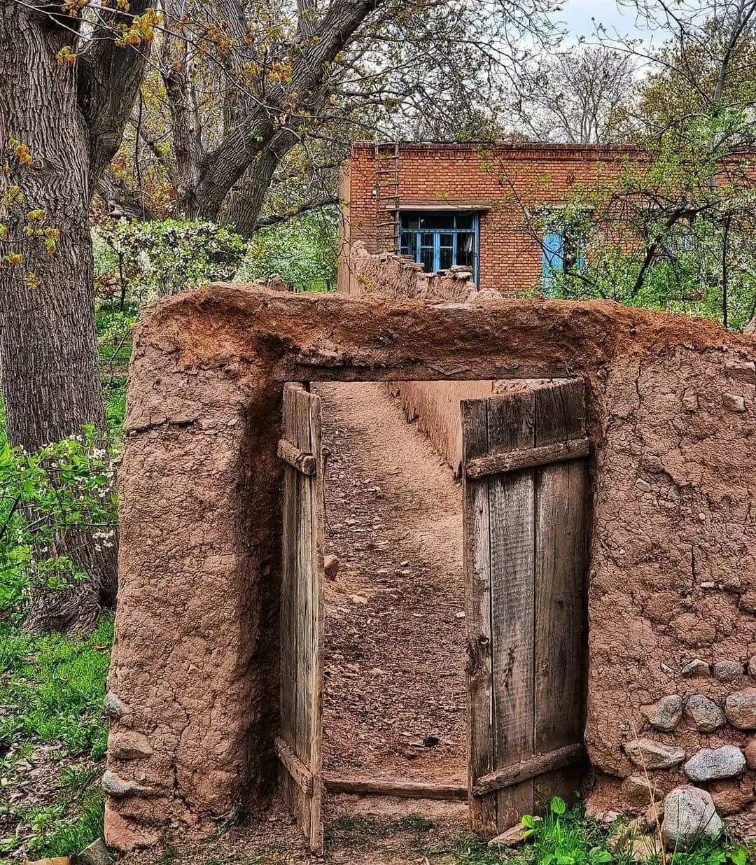 نمایی از کوچه باغ های روستای لیوارجان + تصاویر