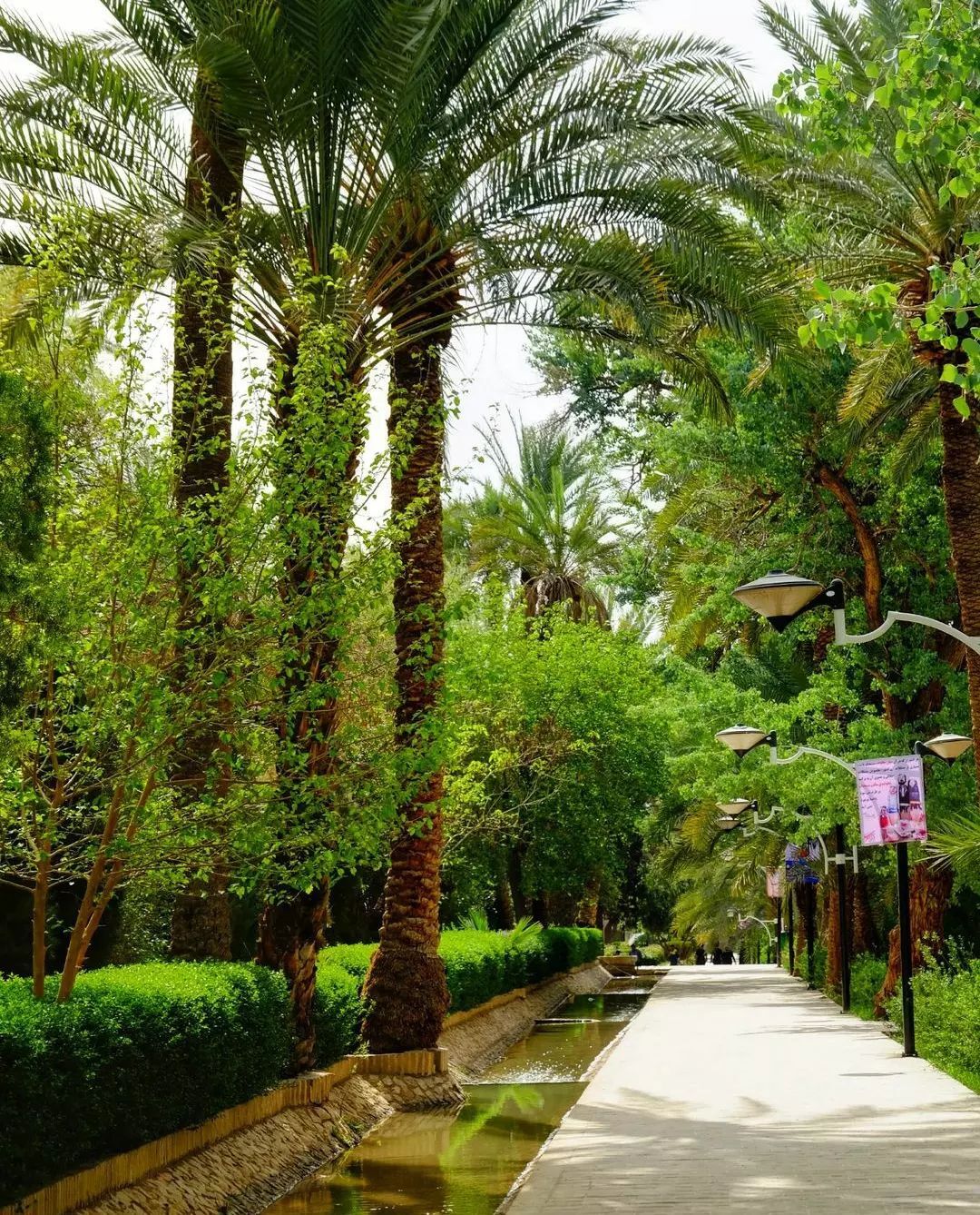 باغ گلشن نگینی در دل کویر طبس + تصاویر