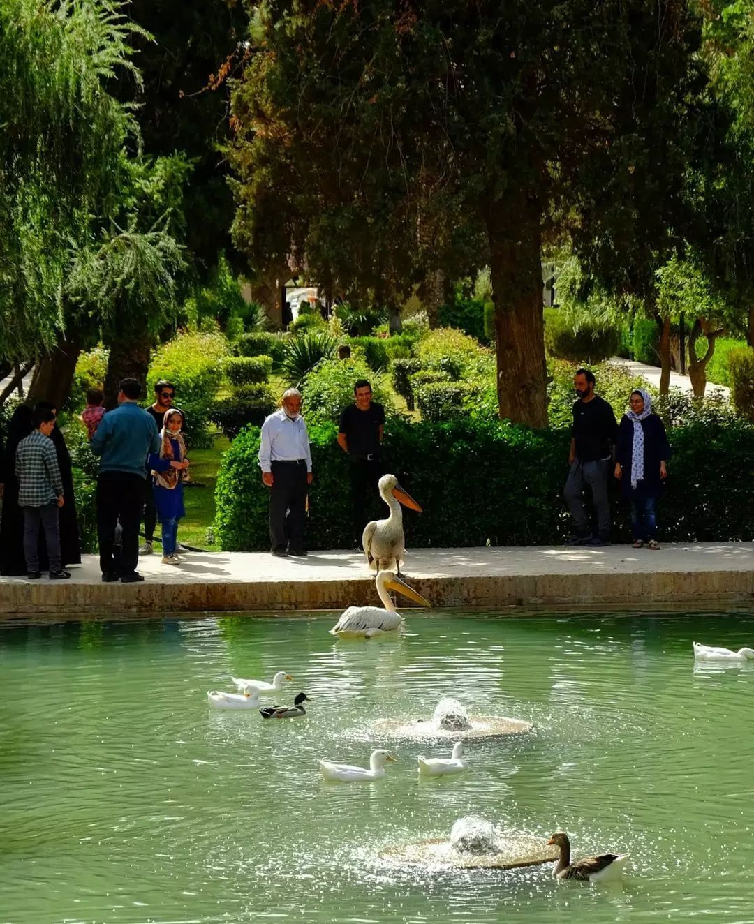 باغ گلشن نگینی در دل کویر طبس + تصاویر