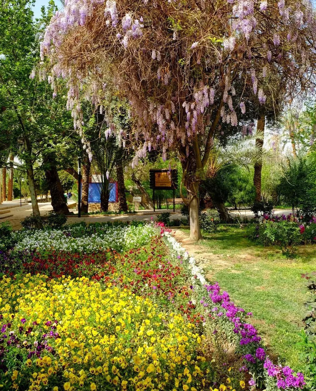 باغ گلشن نگینی در دل کویر طبس + تصاویر