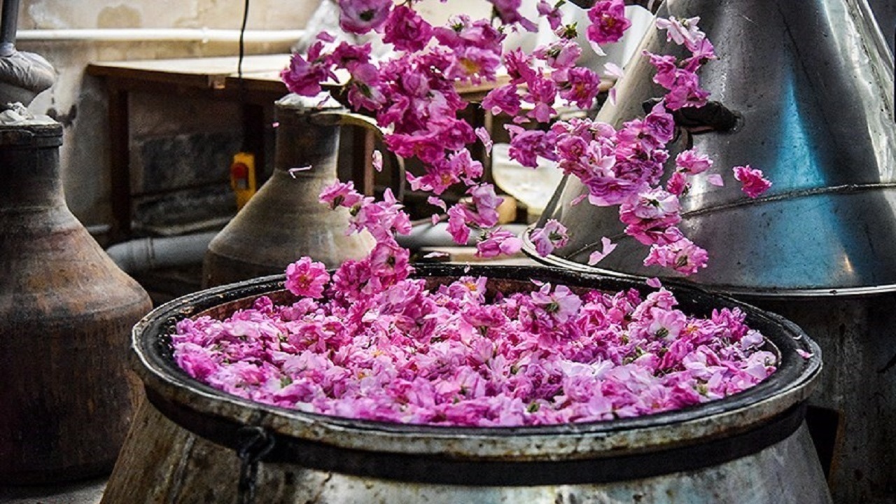 جشن گلابگیری از