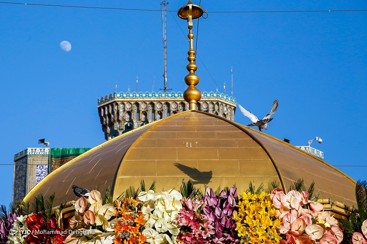 نامه هایی از سوی دلداگانی بی تاب به تابان ترین خورشید عالم