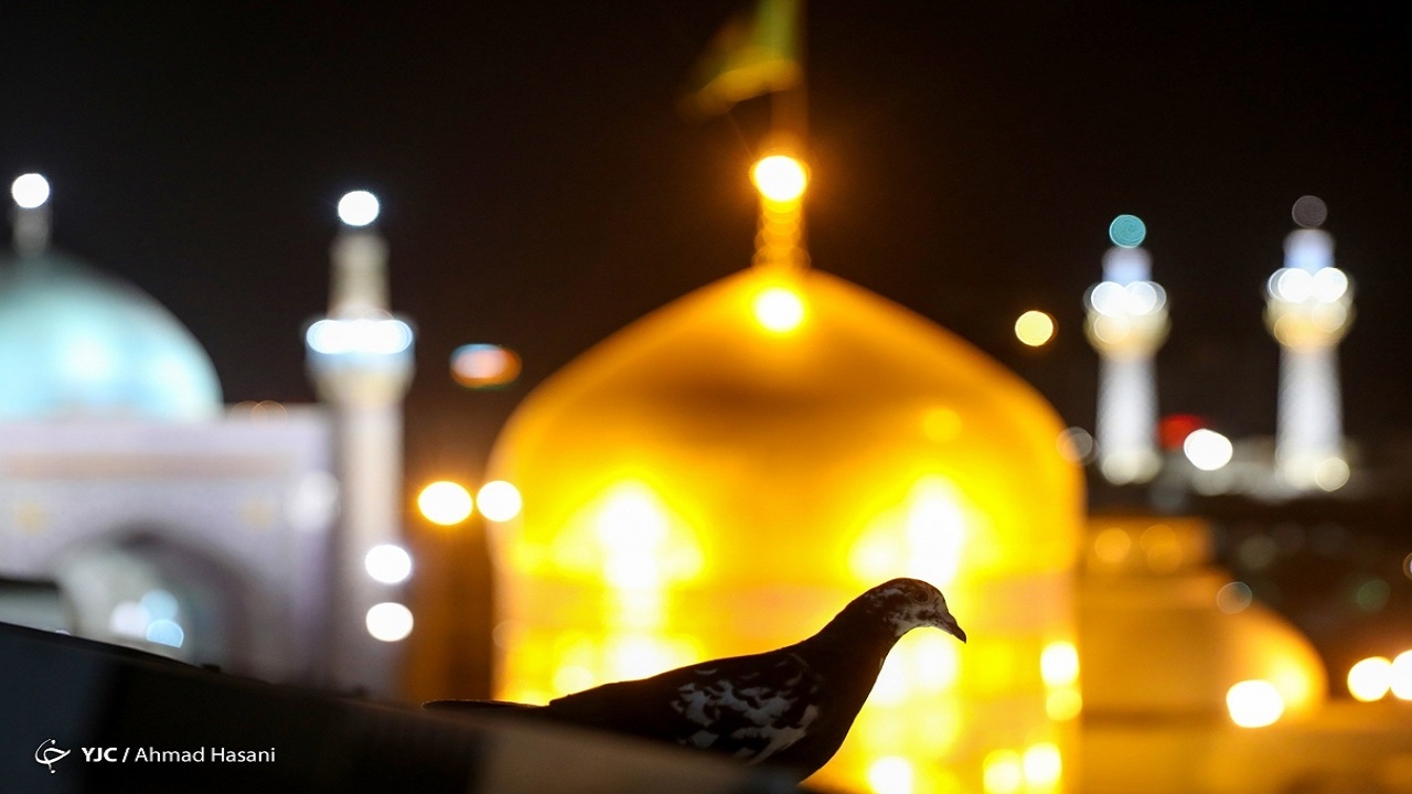 نامه هایی از سوی دلدادگانی بی تاب به تابان ترین خورشید عالم