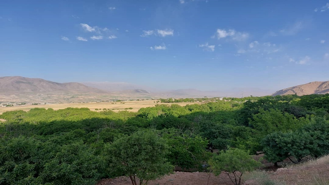 نمایی از طبیعت بهاری روستای دره زرین + فیلم