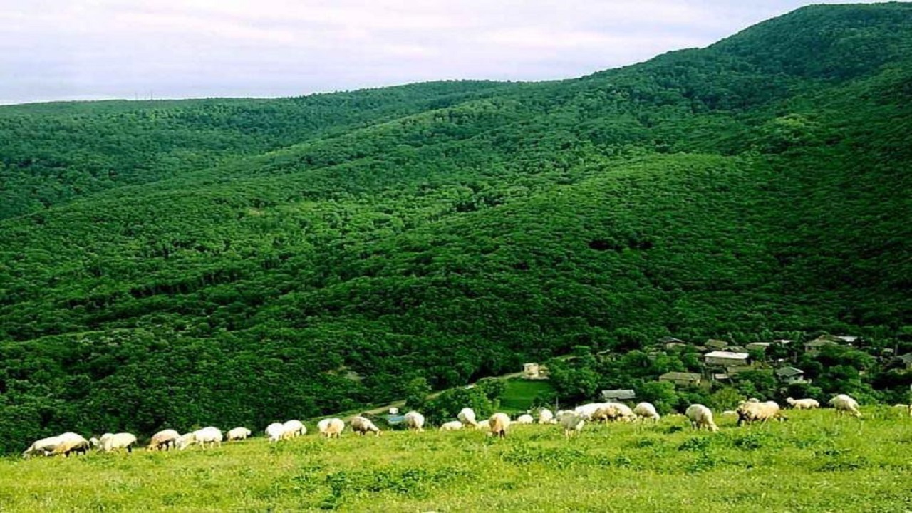 از