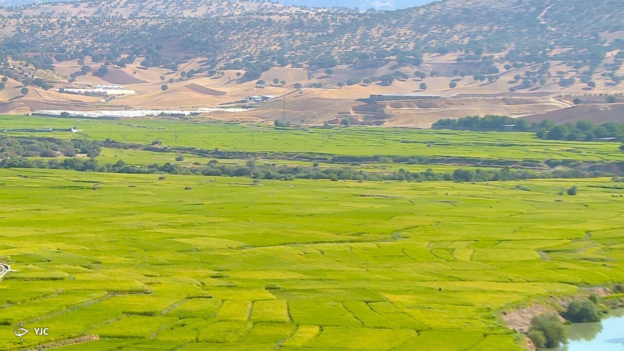 بیش از چهار هزار هکتار از اراضی کشاورزی در آذربایجان غربی رفع تداخل شد
