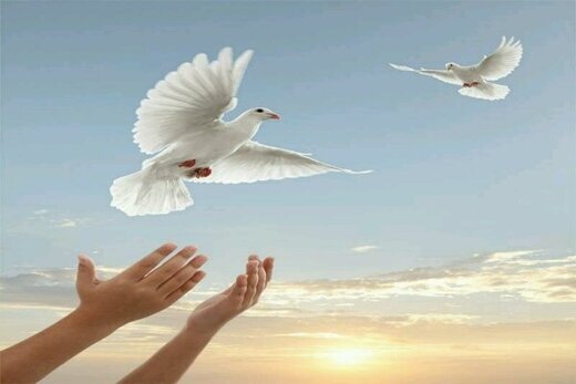 رهایی جوان محکوم به قصاص در دزفول از چوبه دار به حرمت امام رضا (ع)