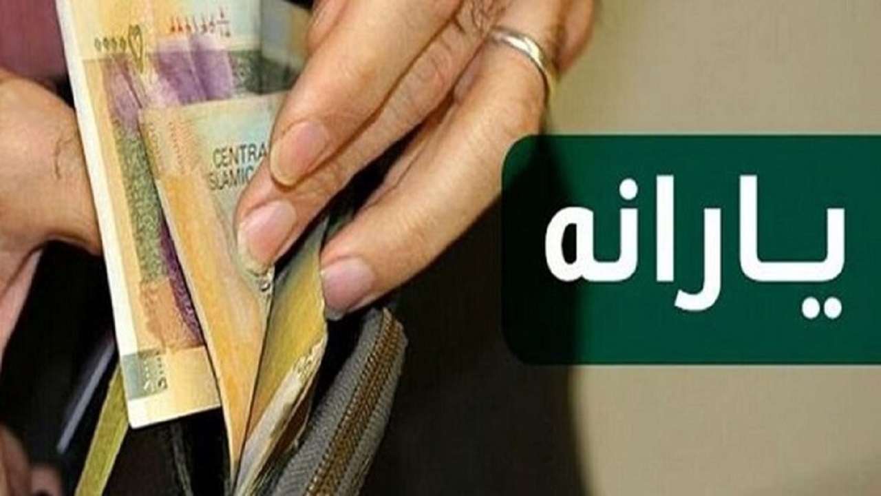 یارانه بگیران خراسان جنوبی ۷ درصد بیشتر از میانگین کشوری