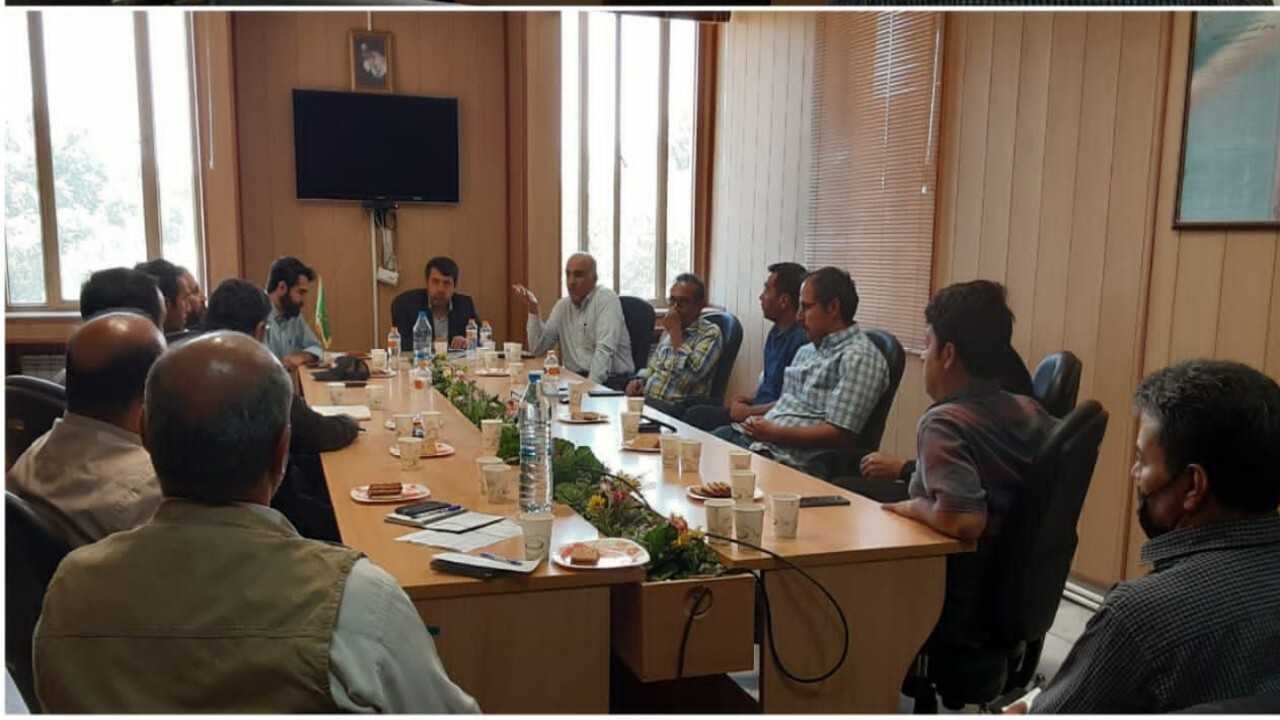 قیمت خرید توافقی بذر جو در استان تعیین شد