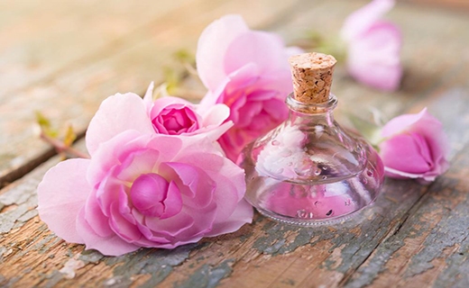 عطر خوش اشتغال و درآمدزایی با پرورش گل محمدی