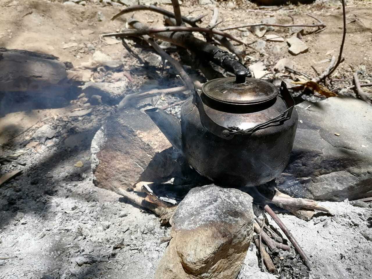 چای