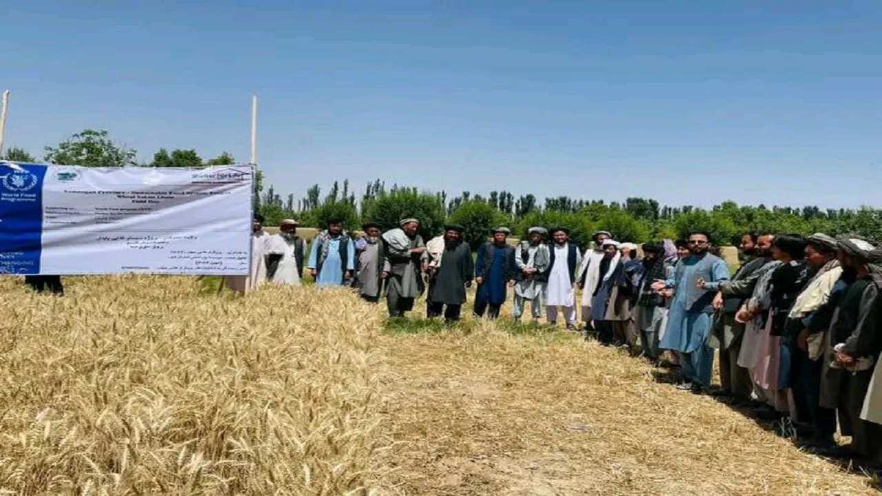 بزرگداشت روز مزرعه در ولایت سمنگان