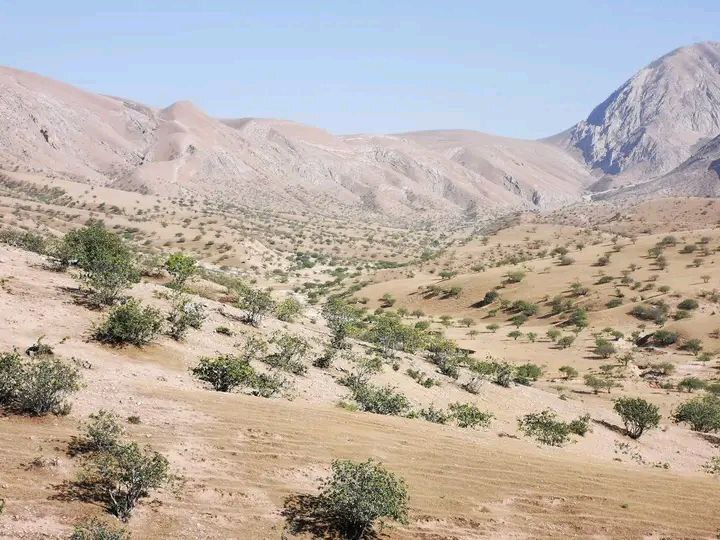 بزرگداشت از روز مزرعه در ولایت سمنگان
