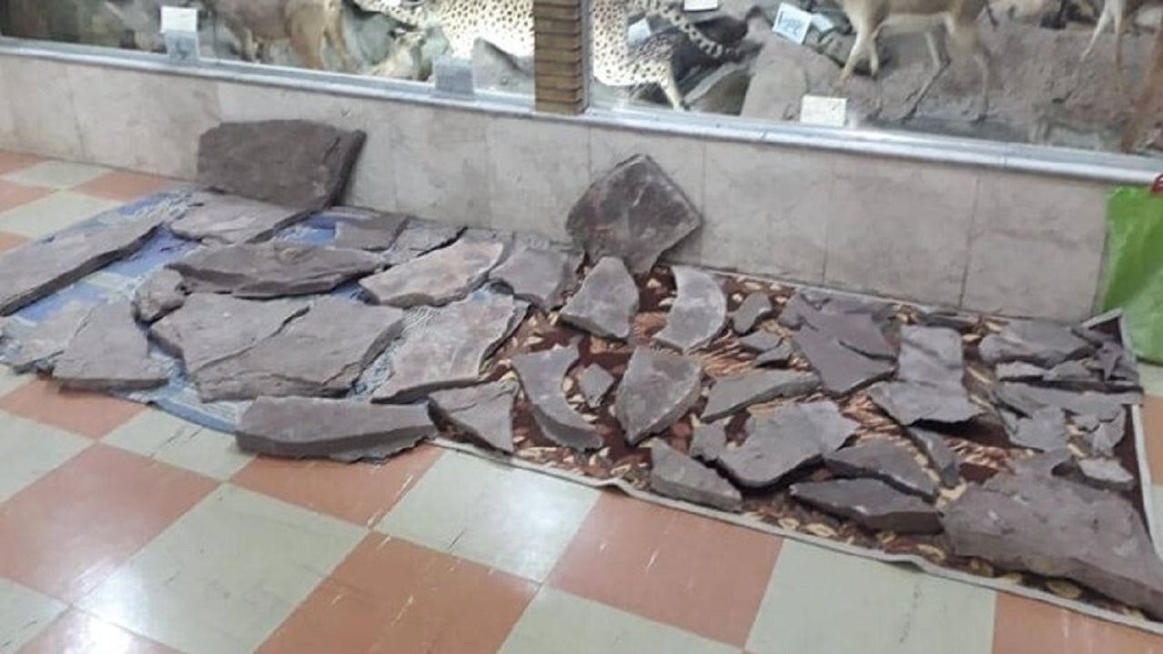 کشف ردپای فسیل ۱۰ میلیون ساله آهو در ماهنشان
