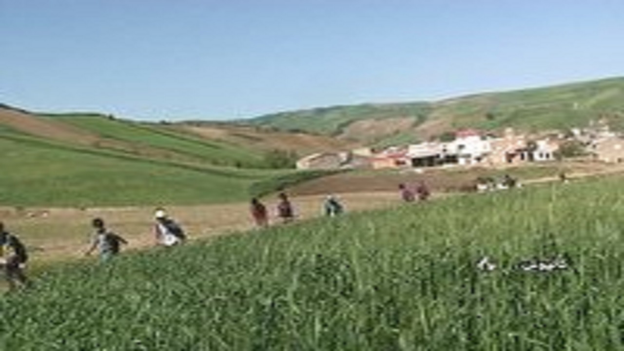 پیاده روی و ورزش صبحگاهی دانش آموزان کالپوشی