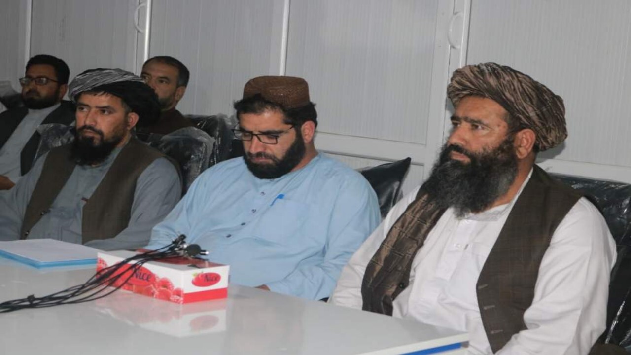 وزارت صحت وجود آبله میمون در افغانستان را تکذیب کرد