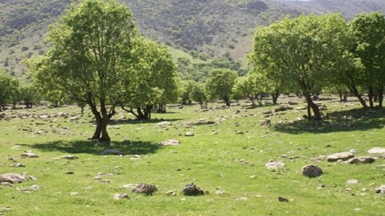 ضرورت توسعه شبکه بی‌سیم دیجیتال برای افزایش ارتباط رادیویی قرقبانان