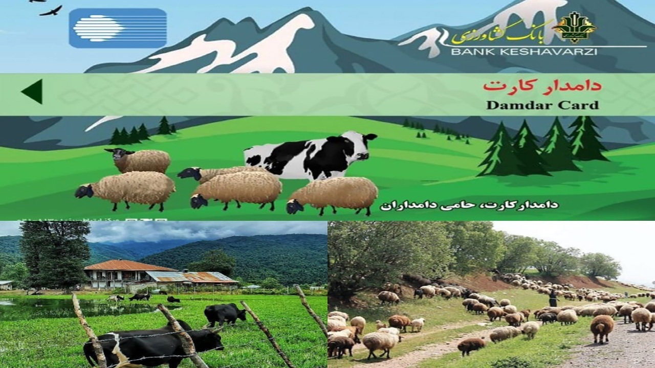 صدور ۶۱۴ دامدار کارت در خراسان شمالی