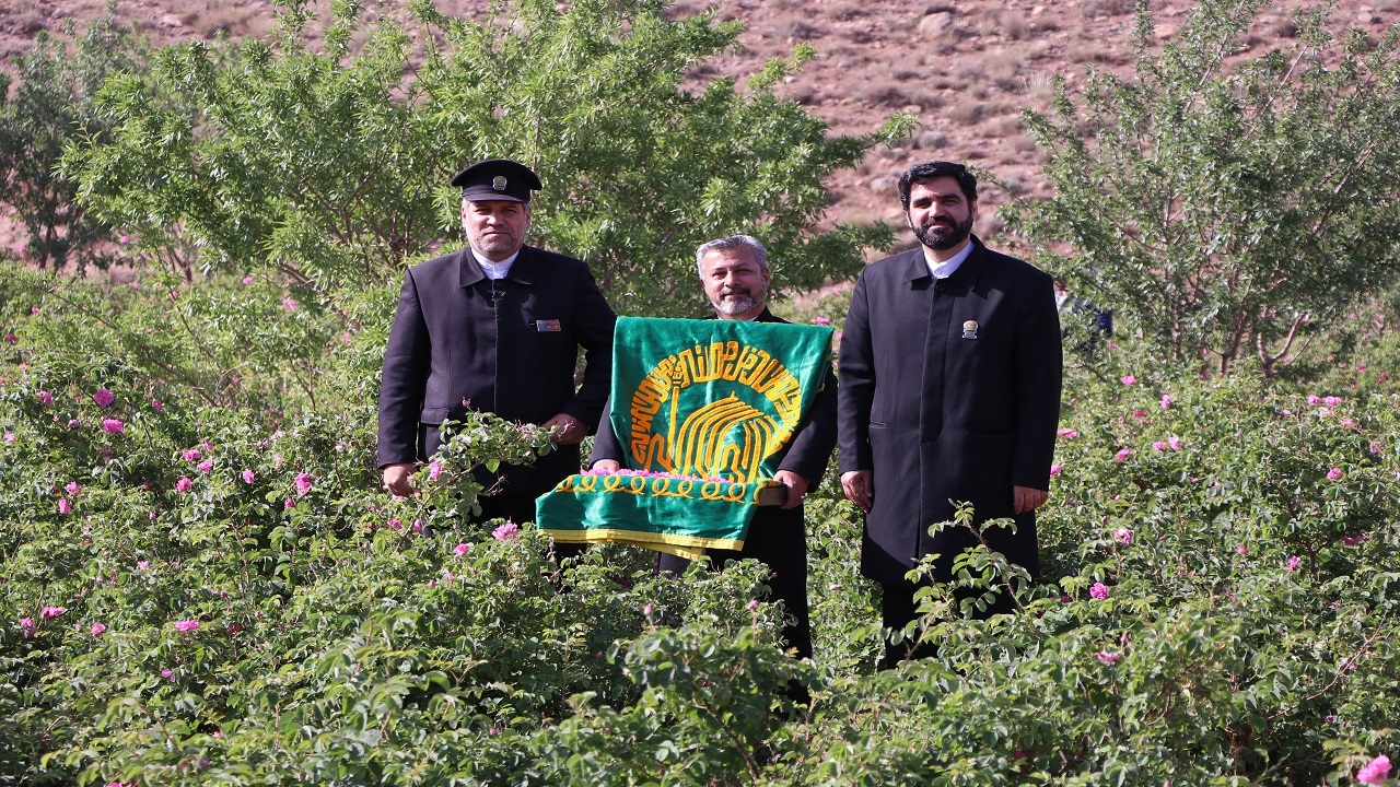 برگزاری دومین آیین اشک گل سرخ در کاشان