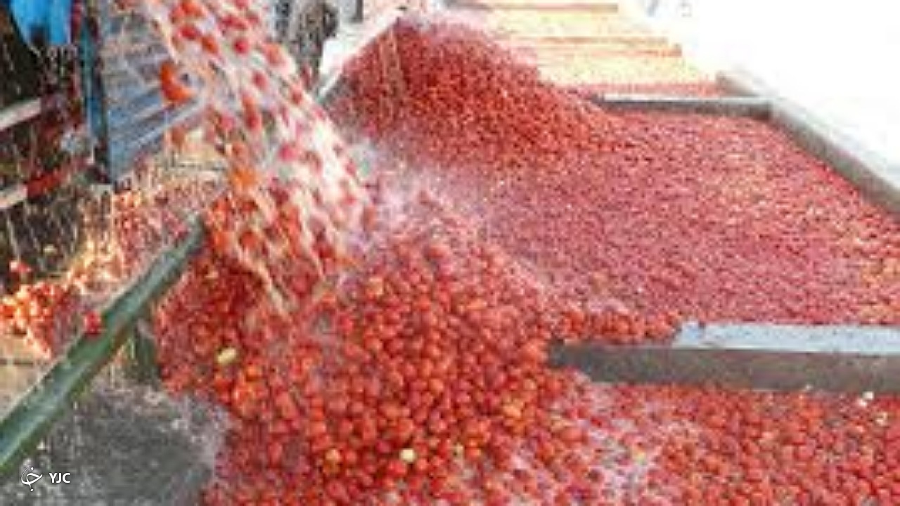 ظرفیت بهره‌برداری از صنایع بسته بندی در آذربایجان غربی هفت برابر شد