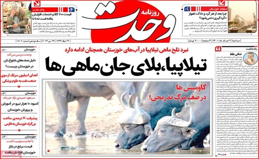 وحدت