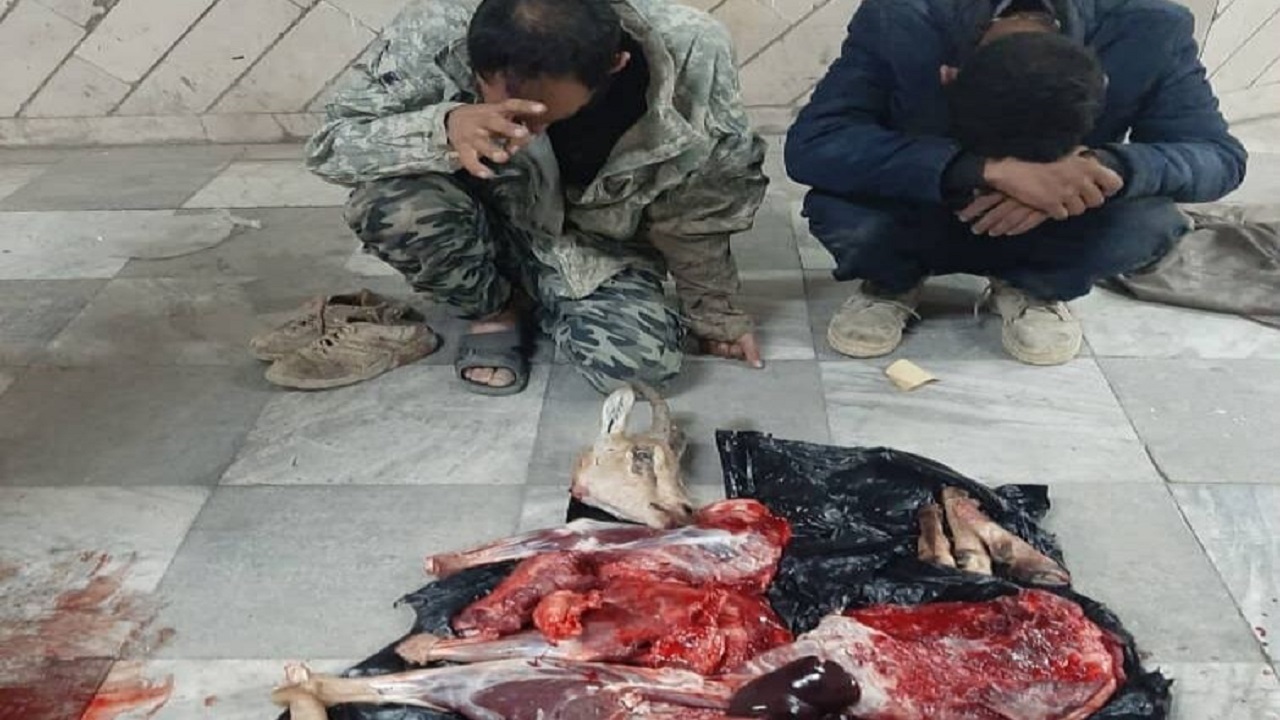 دستگیری ۲ شکارچی متخلف در کاشان
