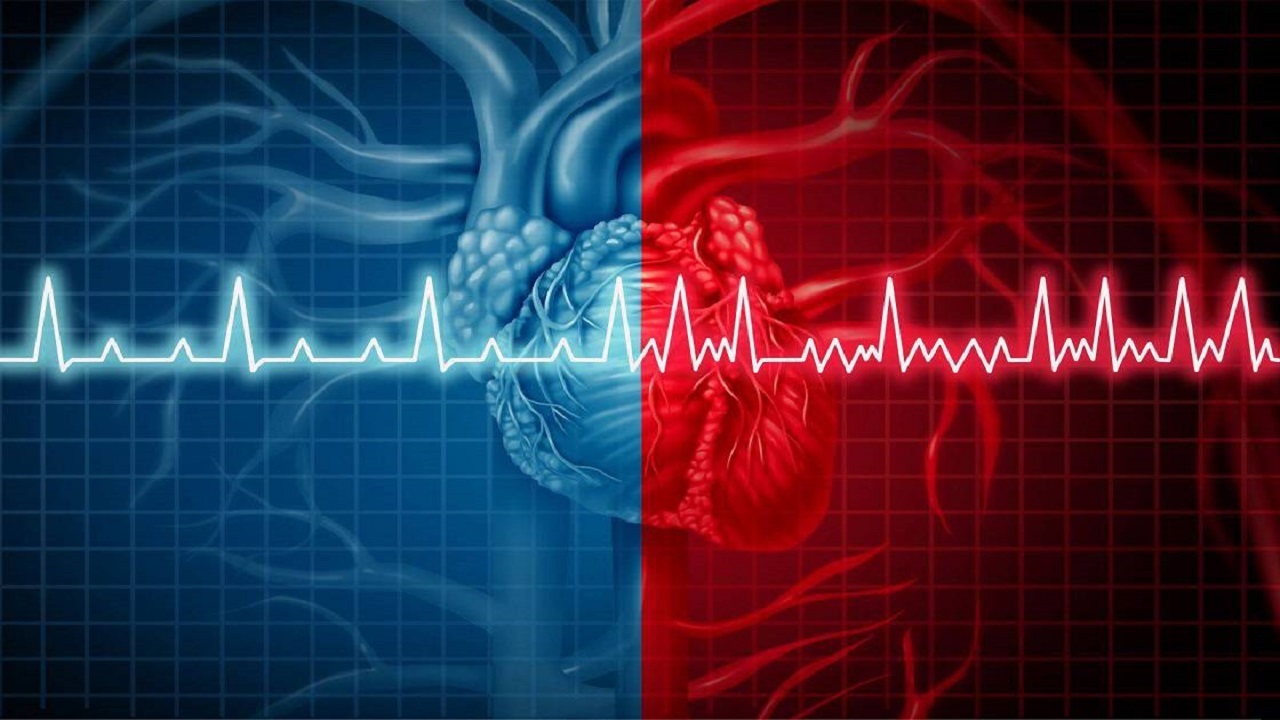 دستگاه تست تپش قلب + فیلم