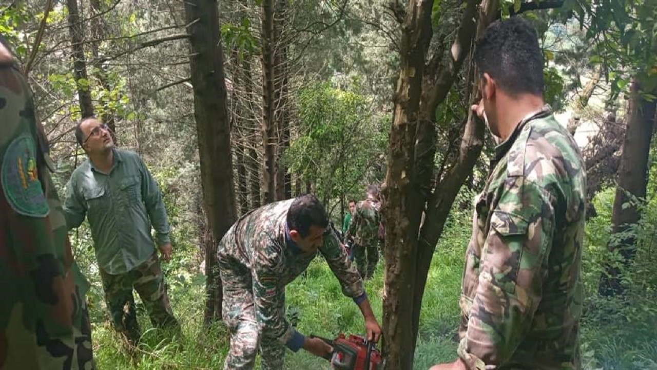 رفع تصرف ۱۰۱ هزار مترمربع از اراضی ملی مازندران