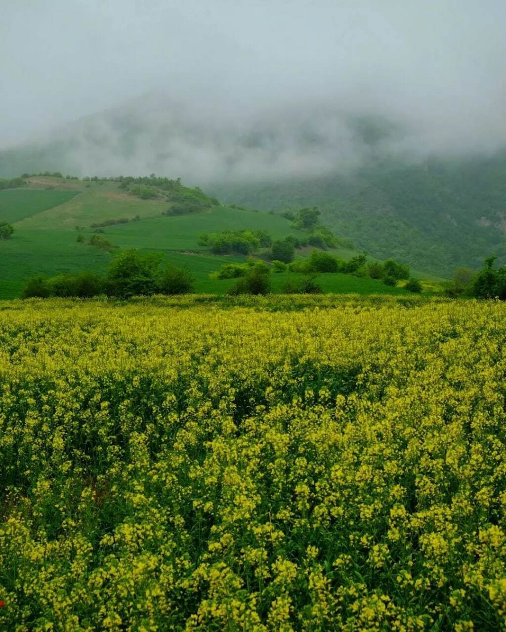 از