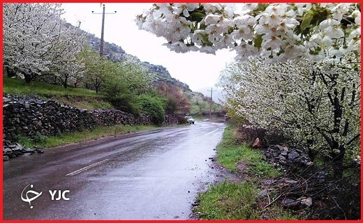 طبیعت بکر ولیدر