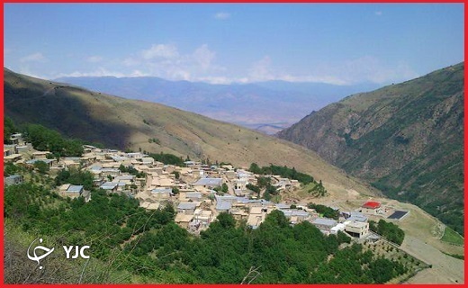 ولیدر