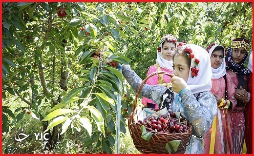 طبیعت بکر ولیدر