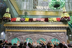 گل آرایی ضریح مطهر حضرت معصومه (س)