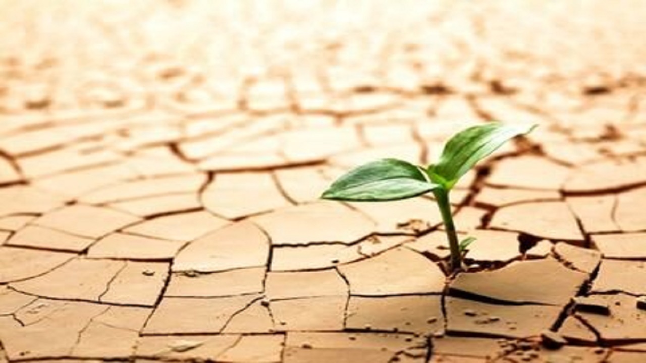 افزایش دما و نواختن زنگ کم آبی و بحران آب در تربت جام